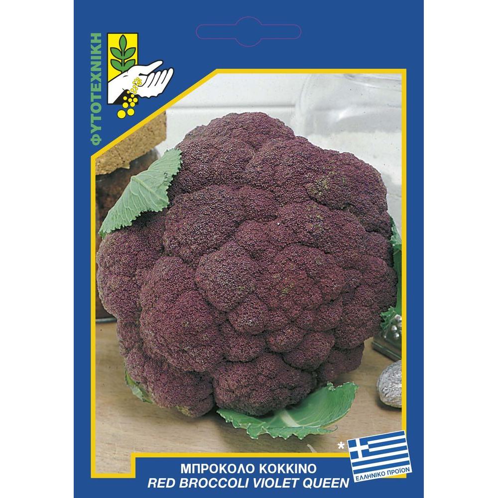 110 Red Broccoli Violet queen result