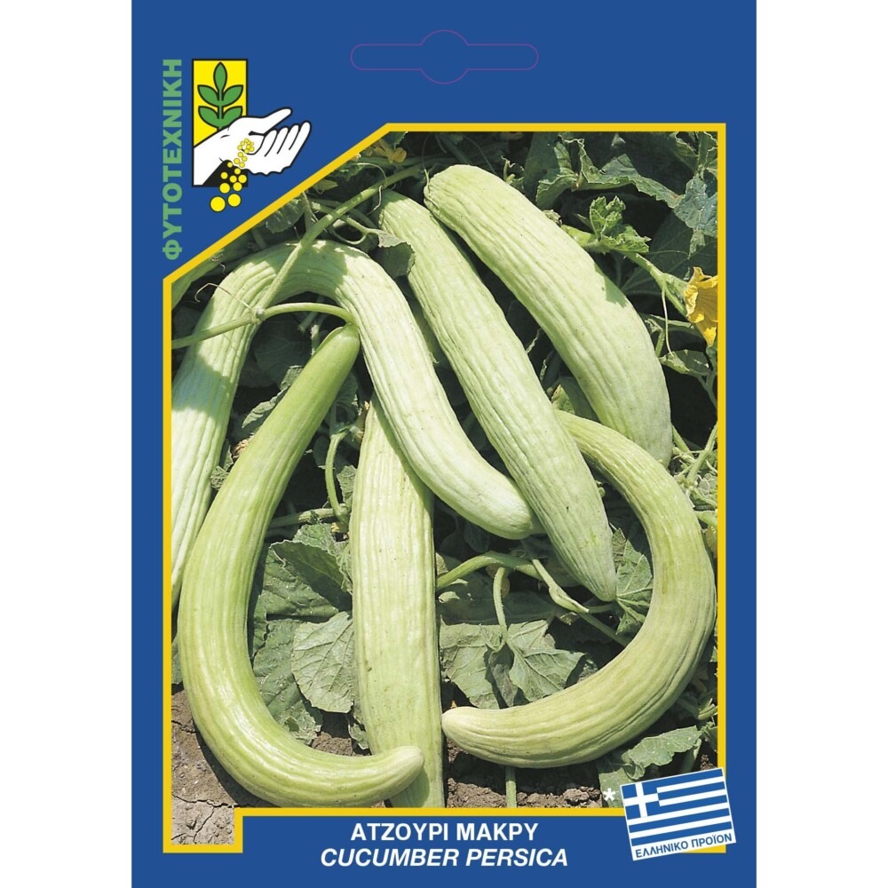 12 Cucumber persica e1610305379787