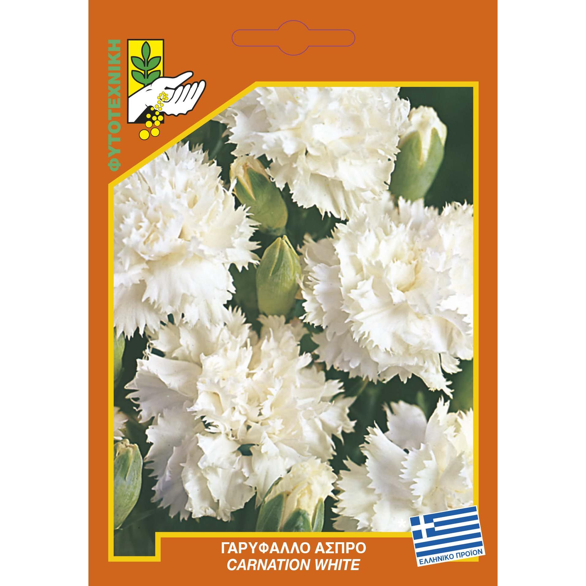 351 Carnation white