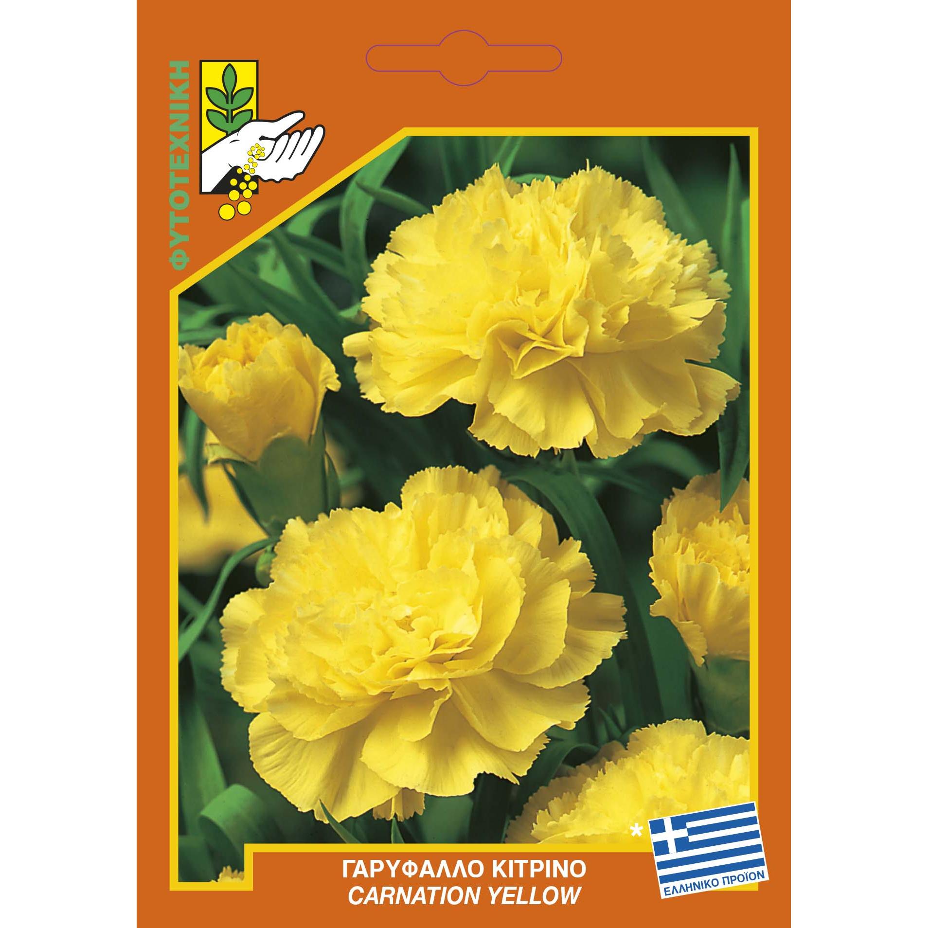 352 Carnation yellow