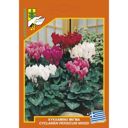 Σπόρος Κυκλάμινο Μίγμα