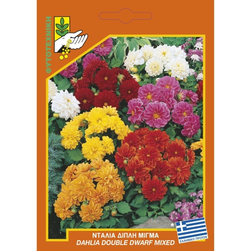 Σπόροι Ντάλια Διπλή