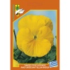 546 Pansy giant yellow