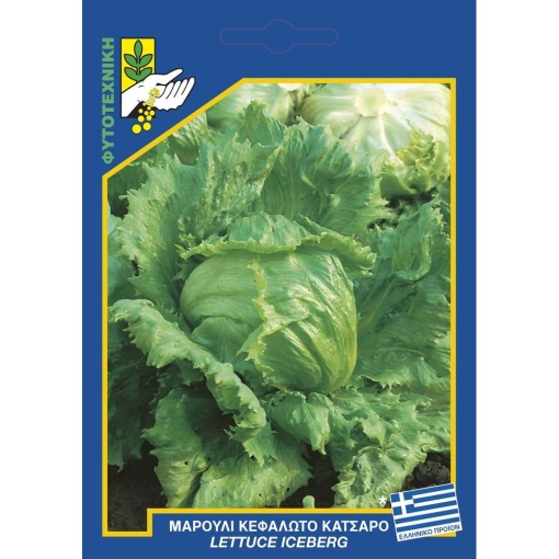 91 Lettuce Great Lakes result