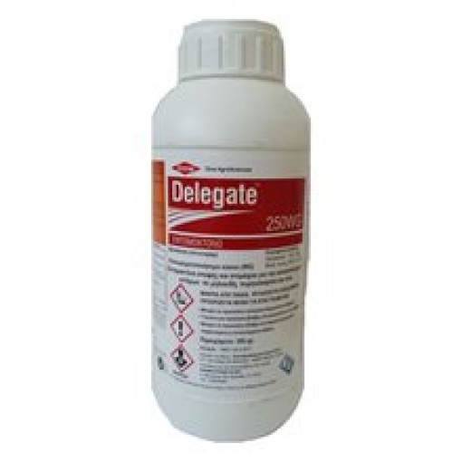Delegate 250WG | 75gr 1 Delegate 250WG | 75gr