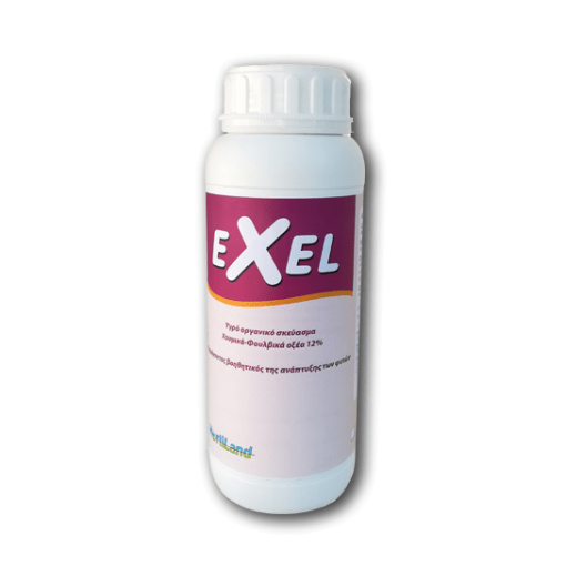 Exel | 1Lt 1 Exel | 1Lt