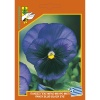 Σπόροι Πανσές Γίγας Μπλε Μαύρο 3 549 Pansy giant ullswater