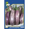 102 egg plant violetta lungaai