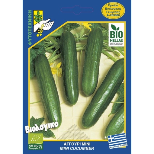 11 mini cucumber marketmoreai