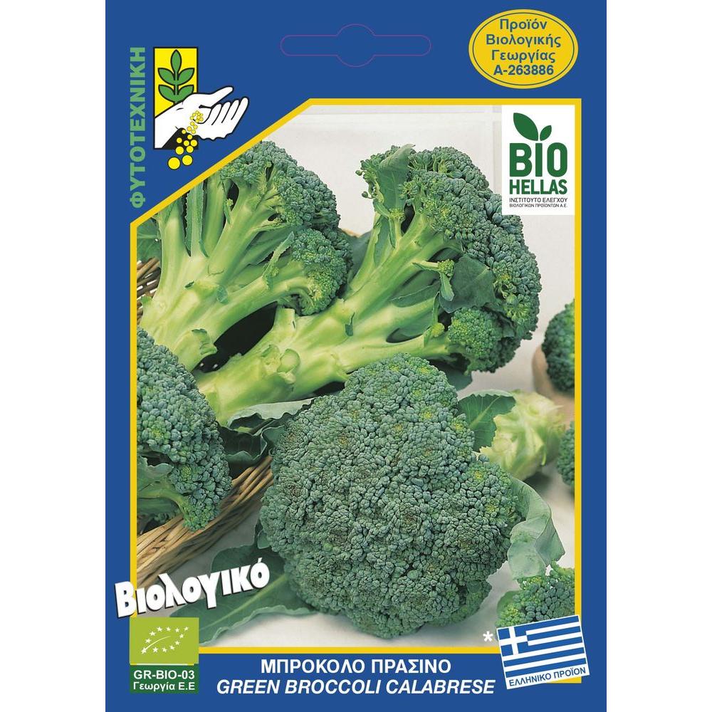 111 green broccoli calabreseai