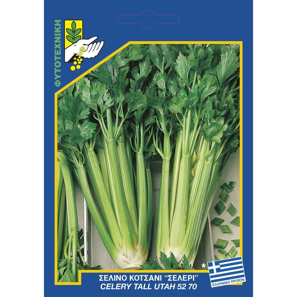 181 celery tall utah 70ai
