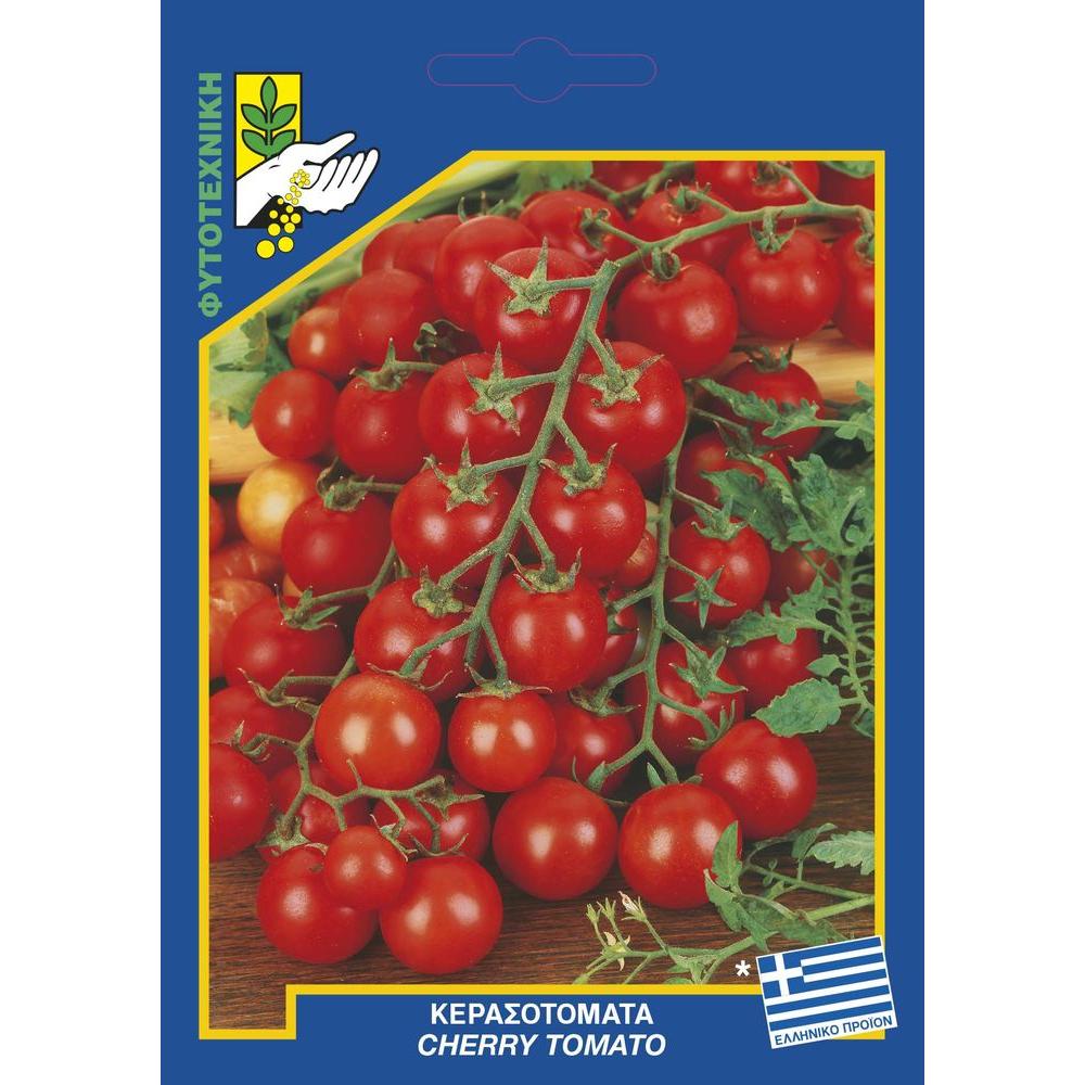 202 cherry tomatoai