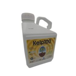 Alternative view of Kelp-100