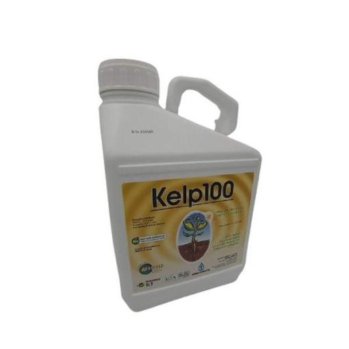 Kelp-100 - Image 2