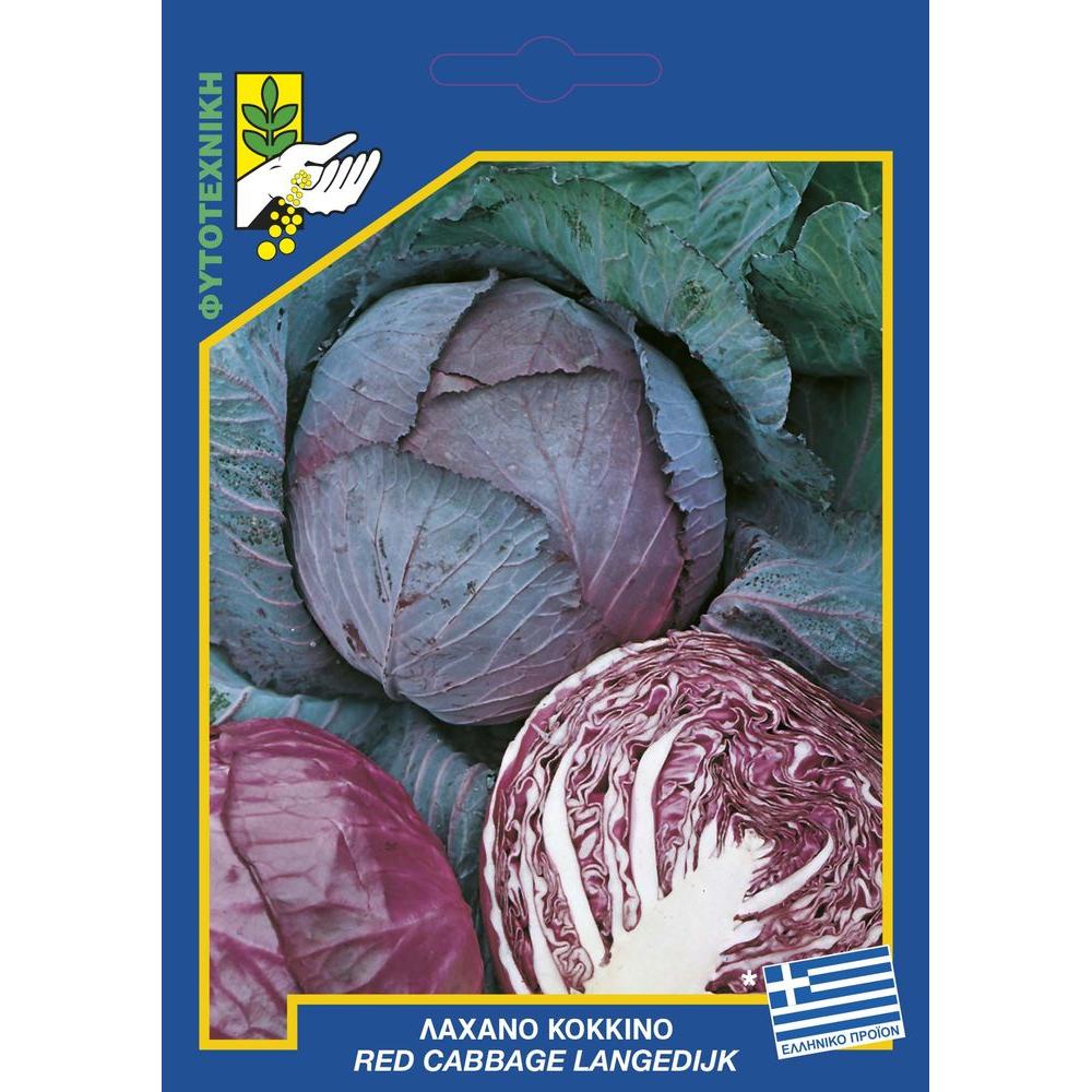 81 red cabbage langedijkai