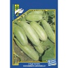 113 cucumber caroselloai
