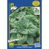 190 spinach winter giantai