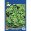 93 lettuce divina ai