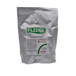 Pledge 50WP | 5x80gr