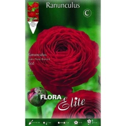 Νεραγκούλα " Asiatic Red"