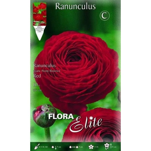 Νεραγκούλα " Asiatic Red"