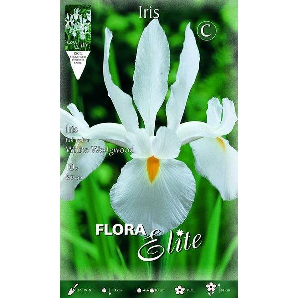 832161 Iris White Wedgwood