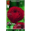 517532 Ranunculus Red