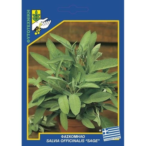 234 Salvia officinalis result