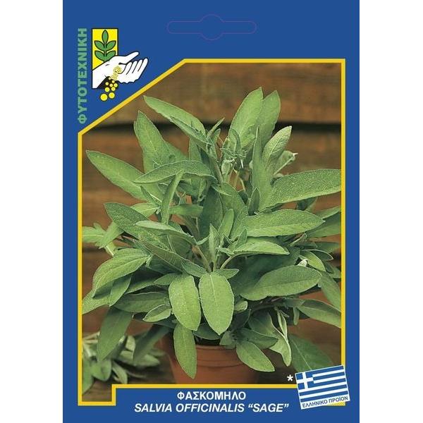 234 Salvia officinalis result