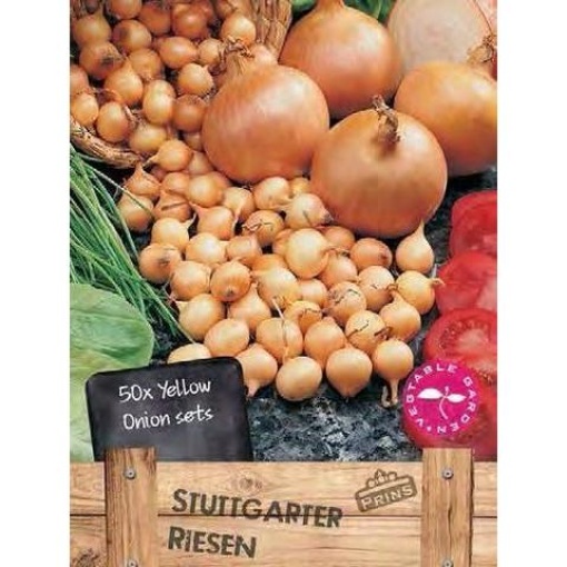 Κοκκάρι Στρογγυλό "Stuttgarter" 750gr
