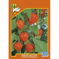 Σπόρος Κινέζικη Λαντέρνα