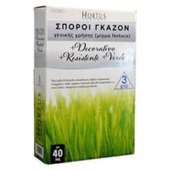 Γκαζόν Festuca Arudinaceae | 1kgr