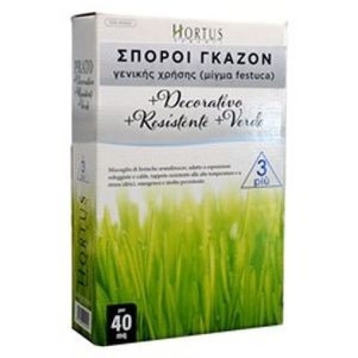Γκαζόν Festuca Arudinaceae | 1kgr 1 Γκαζόν Festuca Arudinaceae | 1kgr