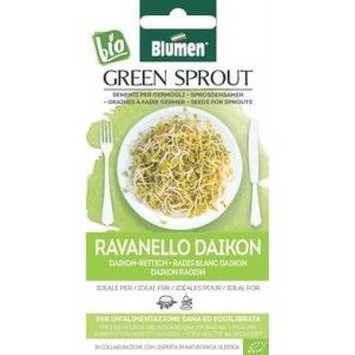 Σπόροι για φύτρες Ραπανάκι Daikon 1 Σπόροι για φύτρες Ραπανάκι Daikon