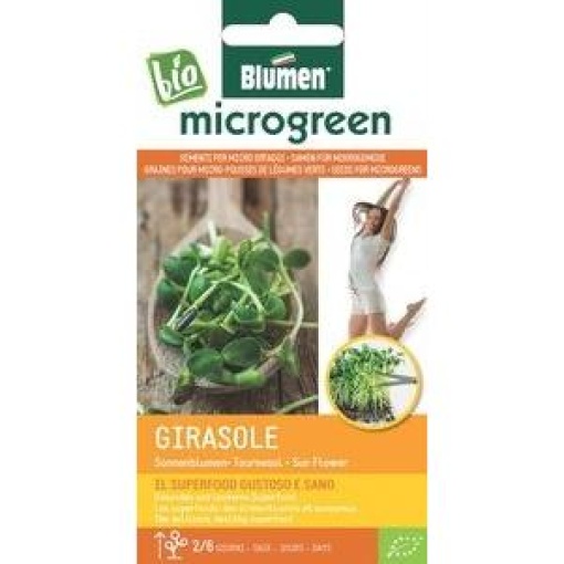 Σπόροι Microgreens Ηλιόσπορου 1 Σπόροι Microgreens Ηλιόσπορου
