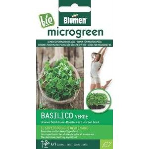 Σπόροι Microgreens Βασιλικός Πράσινος 1 Σπόροι Microgreens Βασιλικός Πράσινος