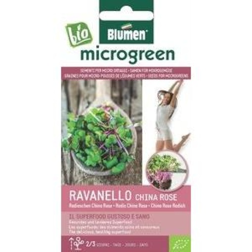 Σπόροι Microgreens Ραπάνι Κόκκινο Κινέζικο 1 Σπόροι Microgreens Ραπάνι Κόκκινο Κινέζικο