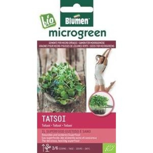 Σπόροι Microgreens Tatsoi 1 Σπόροι Microgreens Tatsoi