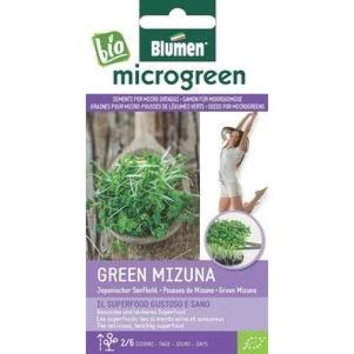 Σπόροι Microgreens Πράσινη Μιζούνα 1 Σπόροι Microgreens Πράσινη Μιζούνα