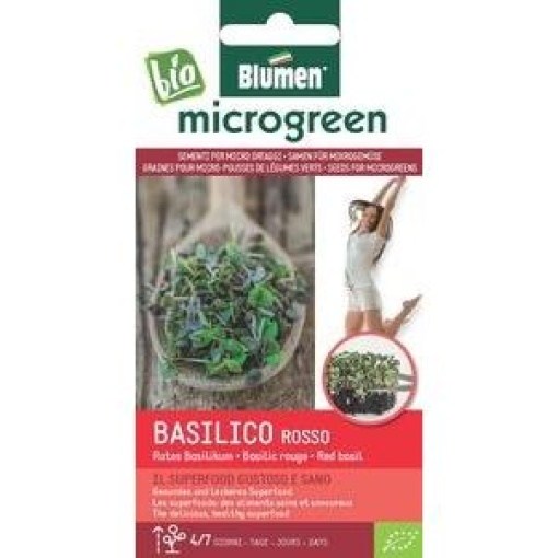 Σπόροι Microgreens Βασιλικός Κόκκινος 1 Σπόροι Microgreens Βασιλικός Κόκκινος