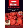 BS1015 HABANERO ROSSO