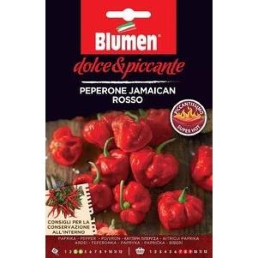 Πιπεριά Jamaican Rosso(Αρκετά Καυτερή) 1 Πιπεριά Jamaican Rosso(Αρκετά Καυτερή)