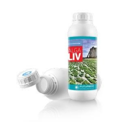 Algaliv | 500ml 1 Algaliv | 500ml