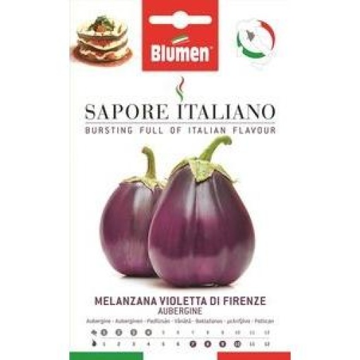 Μελιτζάνα Φλάσκα Di Firenze 1 Μελιτζάνα Φλάσκα Di Firenze