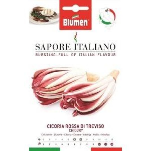 Ραδίκι Δίχρωμο Rossa di Treviso 1 Ραδίκι Δίχρωμο Rossa di Treviso
