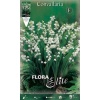 Μιγκέ "Convallaria" 3 Convallaria majalis