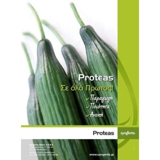 Αγγούρι Μακρύ Proteas F1 | 500 Σπόρων 2 Αγγούρι Μακρύ Proteas F1 | 500 Σπόρων - Image 2