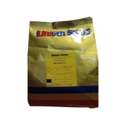 Κρεμμύδι Μακράς Ημέρας Red Rock F1 | 250.000 Σπόρων