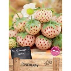 Φράουλα Άσπρη "Pineberry"