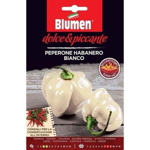 Πιπεριά Habanero Bianco(Εξαιρετικά Καυτερή)